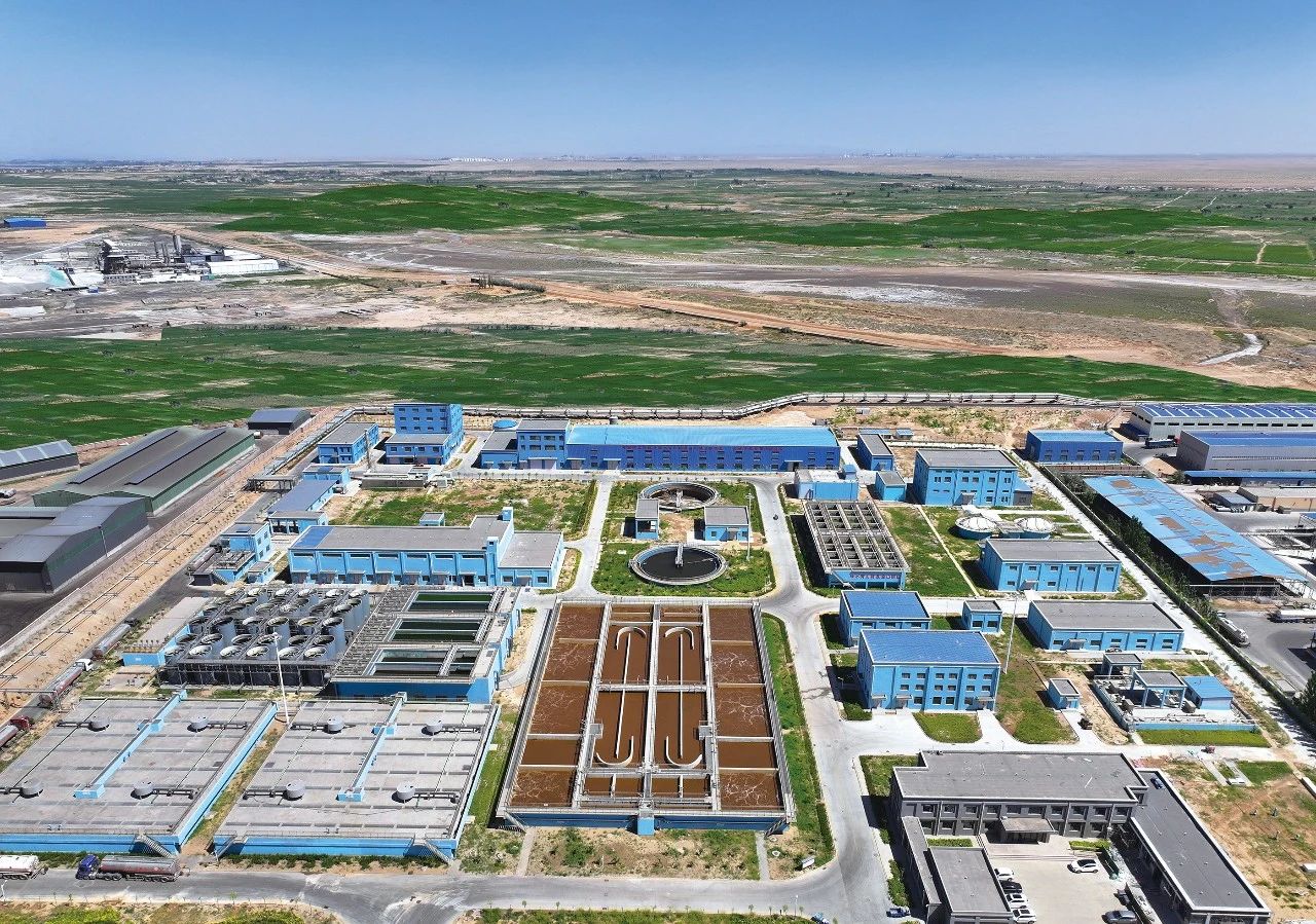 1755217187131872.jpg 微信圖片_2025-08-15_081901_993.jpg